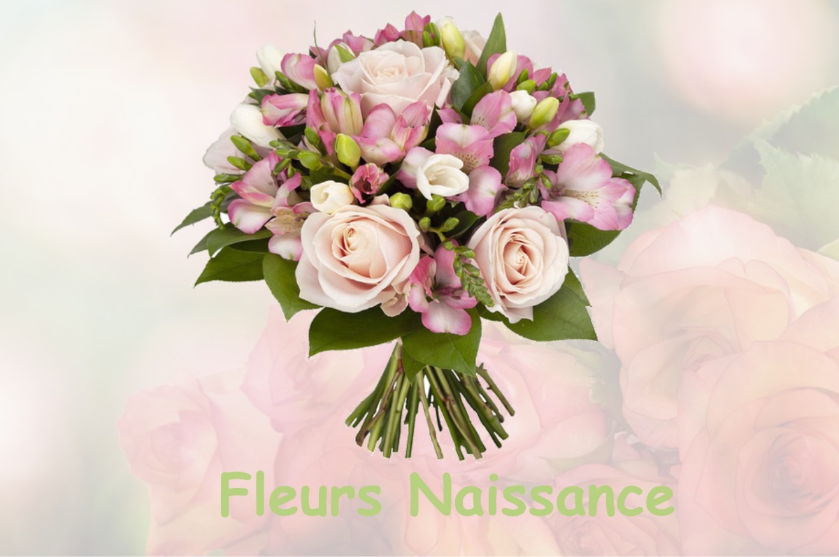 fleurs naissance PLAINOISEAU