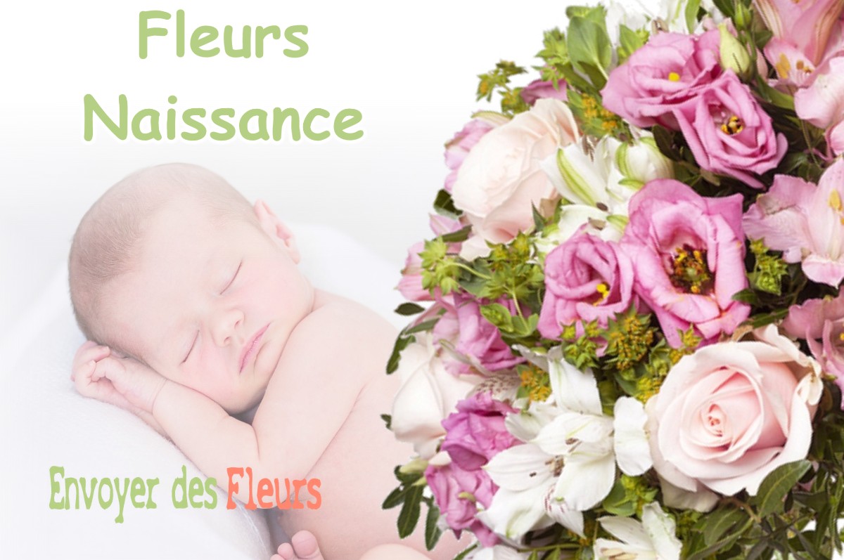 lIVRAISON FLEURS NAISSANCE à PLAINOISEAU